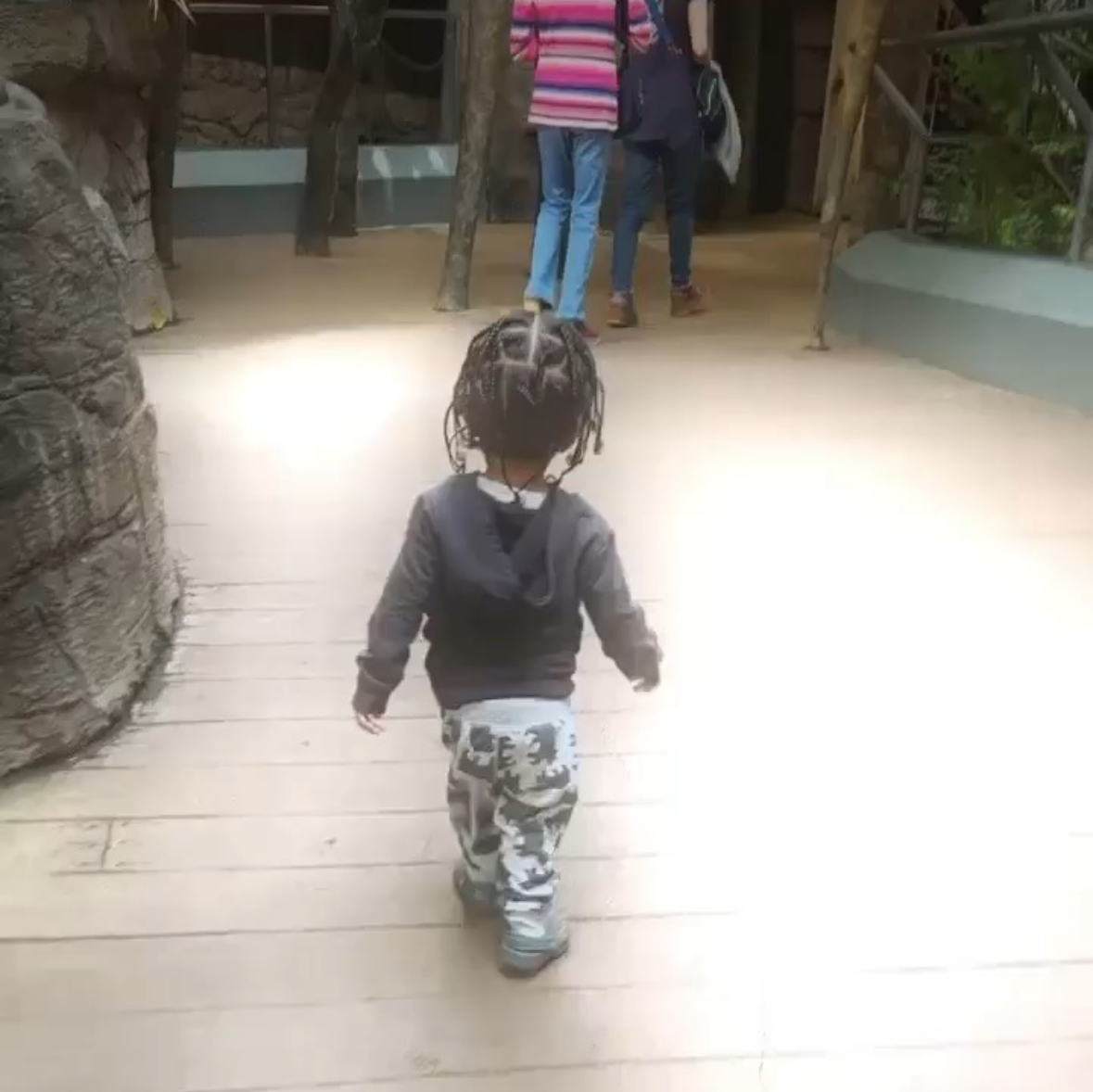 Amari walking around the zoo