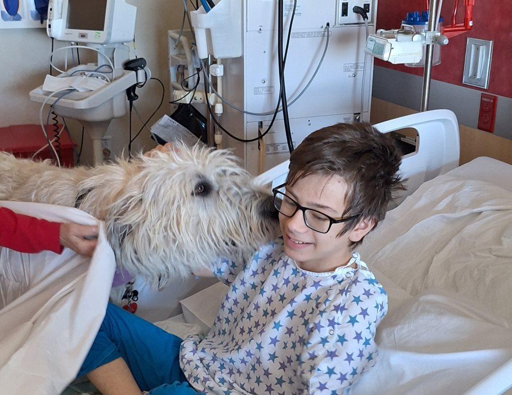 Desi with furry friend in hospital