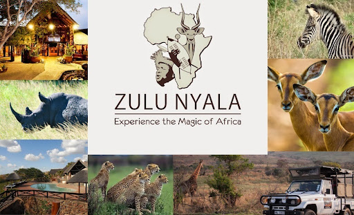 Zulu Nyala Fundraiser Banner